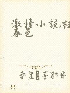 激情小说,校园春色