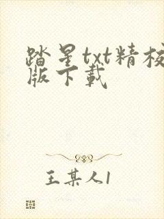 踏星txt精校版下载封面