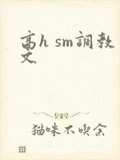 高h sm调教文