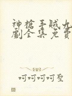 神枪手贼九电视剧全集免费观看高清