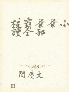 校霸爸爸小说阅读全部