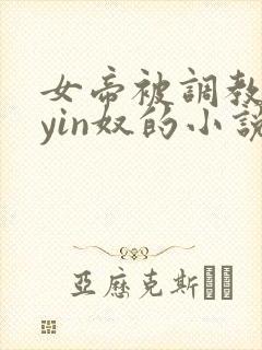 女帝被调教成为yin奴的小说