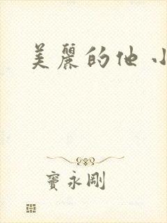美丽的他 小说