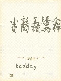 小说王腾全文免费阅读无弹窗