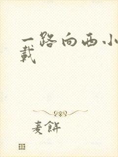 一路向西小说下载