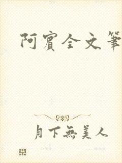 阿宾全文笔趣阁