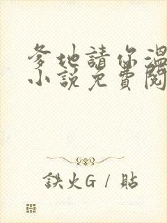 爹地请你温柔点小说免费阅读