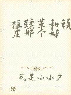 植鞣革和头层牛皮哪个好