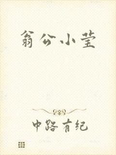 翁公小莹封面