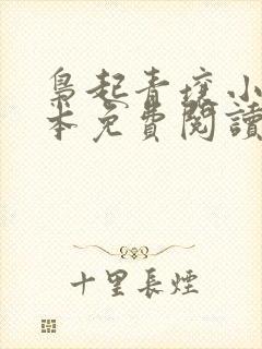 枭起青壤小说全本免费阅读