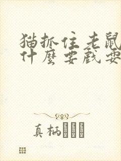 猫抓住老鼠后为什么要戏耍它