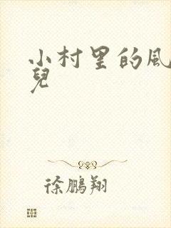 小村里的风流事儿封面