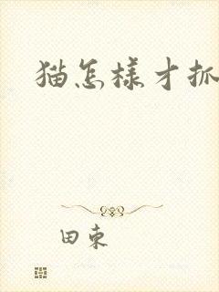 猫怎样才抓老鼠