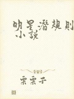 明星潜规则之皇 小说