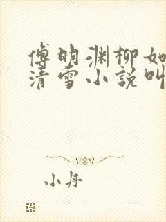 傅明渊柳如嫣林清雪小说叫什么名字