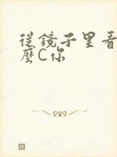 从镜子里看我怎么C你