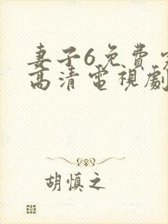 妻子6免费完整高清电视剧在线看封面