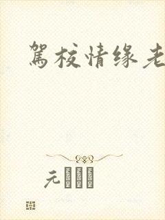 驾校情缘老赵封面