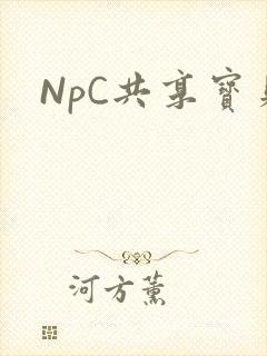 NpC共享宝贝封面