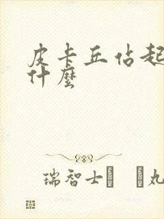 皮卡丘站起来是什么