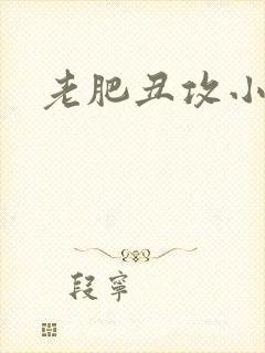 老肥丑攻小说