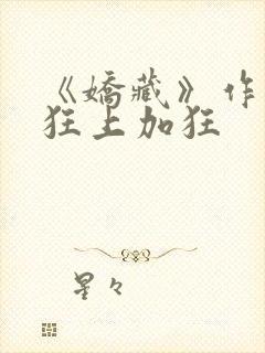 《娇藏》作者:狂上加狂