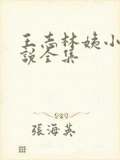 王志林姨小志小说全集