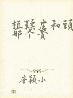 植鞣皮和头层皮哪个贵封面