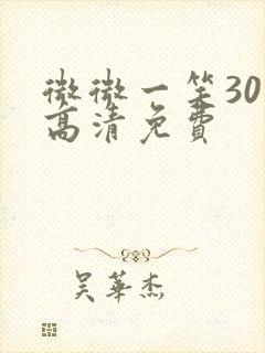 微微一笑30集高清免费