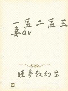 一区二区三区人妻av