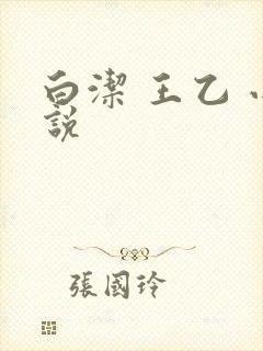 白洁 王乙 小说封面