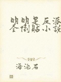 明明是反派女主全倒贴小说