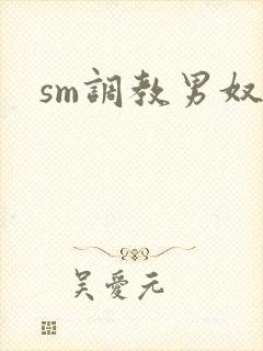 sm调教男奴文封面