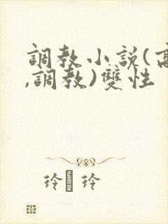 调教小说(高h,调教)双性