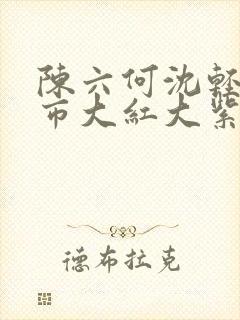 陈六何沈轻舞都市大红大紫