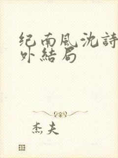 纪南风沈诗澜番外结局