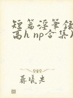 短篇淫笔录( 高h np合集)