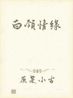白领情缘封面