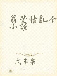 翁莹情乱全部篇小说封面