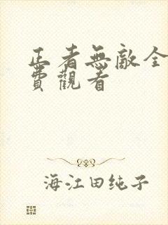 正者无敌全集免费观看