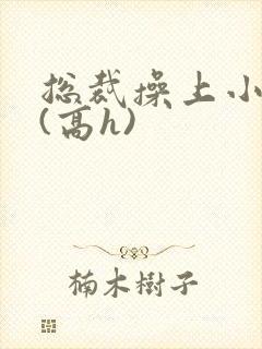 总裁操上小娇妻(高h)封面