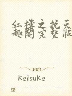 红楼之挽天倾笔趣阁完整版