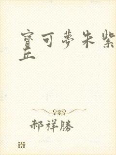 宝可梦朱紫皮卡丘