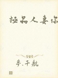 极品人妻你懂的