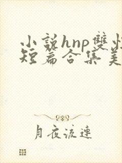 小说hnp双性短篇合集美人