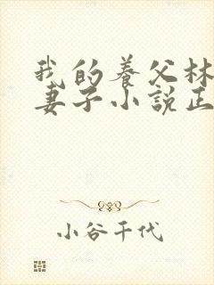 我的养父林叔和妻子小说正版阅读