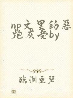 np文里的恶毒炮灰受by封面