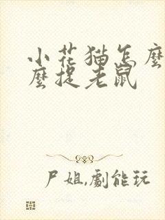 小花猫怎么在怎么捉老鼠