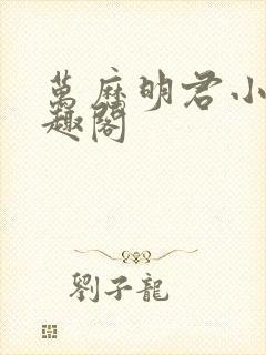 万历明君小说笔趣阁