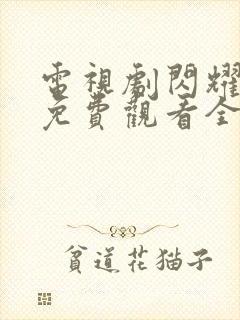 电视剧闪耀的她免费观看全集高清